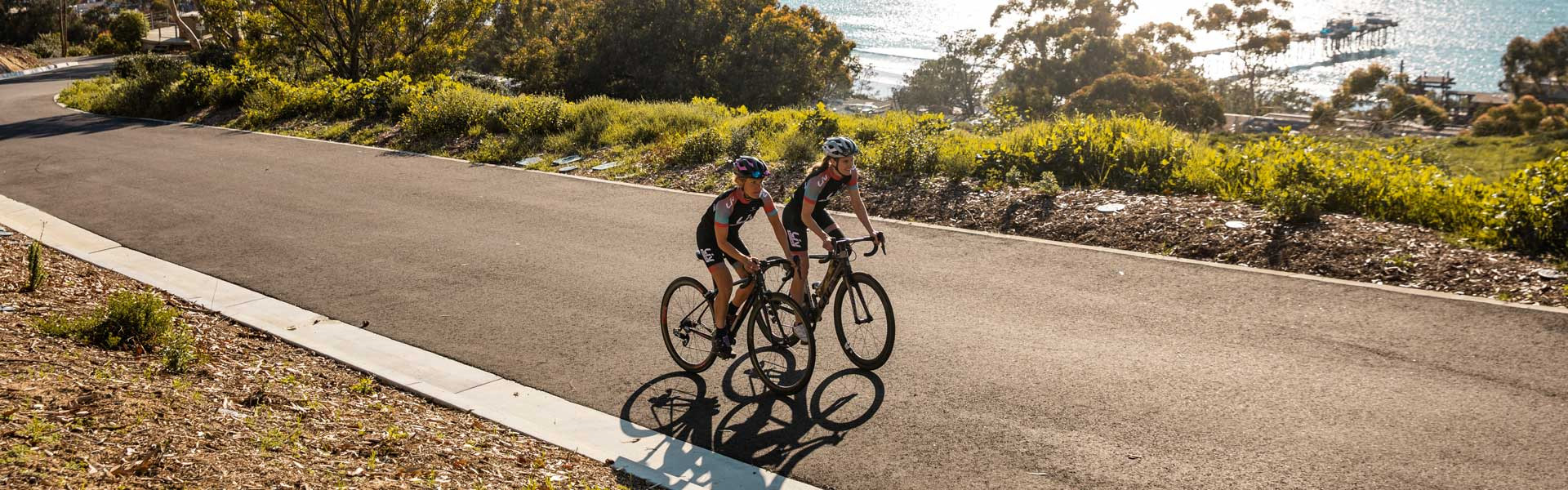 Tienda Barata Bicicleta -Tienda Barata Bicicleta 1